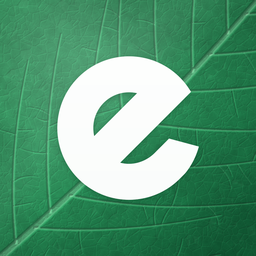 Ever app icon